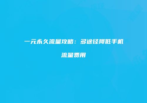 一元永久流量攻略：多途径降低手机流量费用