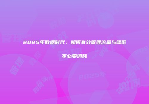 2025年数据时代：如何有效管理流量与降低不必要消耗