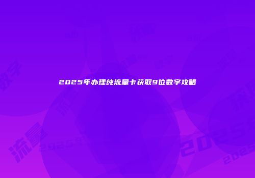 2025年办理纯流量卡获取9位数字攻略