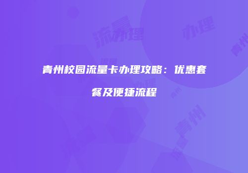 青州校园流量卡办理攻略:优惠套餐及便捷流程