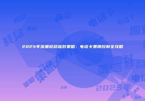 2025年流量耗尽应对策略:电话卡费用控制全攻略