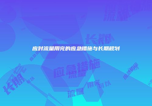应对流量用完的应急措施与长期规划