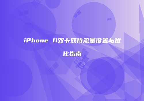 iPhone 11双卡双待流量设置与优化指南