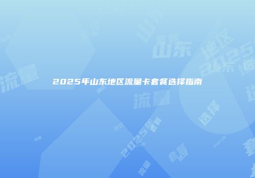 2025年山东地区流量卡套餐选择指南