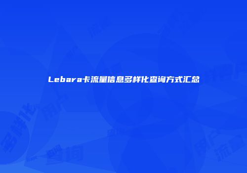 Lebara卡流量信息多样化查询方式汇总