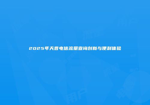 2025年天音电信流量查询创新与便利体验