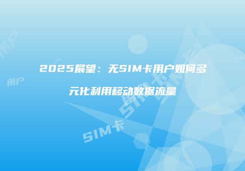 2025展望:无SIM卡用户如何多元化利用移动数据流量