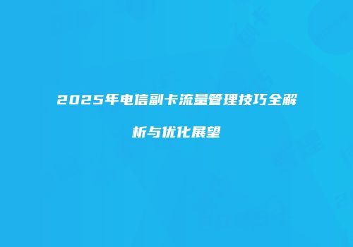 2025年电信副卡流量管理技巧全解析与优化展望