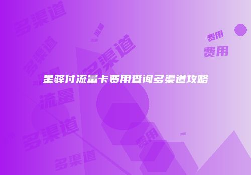 星驿付流量卡费用查询多渠道攻略
