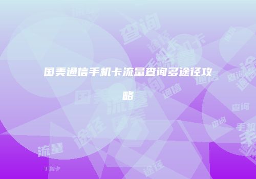 国美通信手机卡流量查询多途径攻略