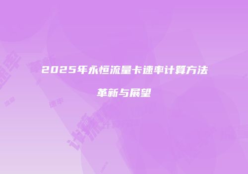 2025年永恒流量卡速率计算方法革新与展望