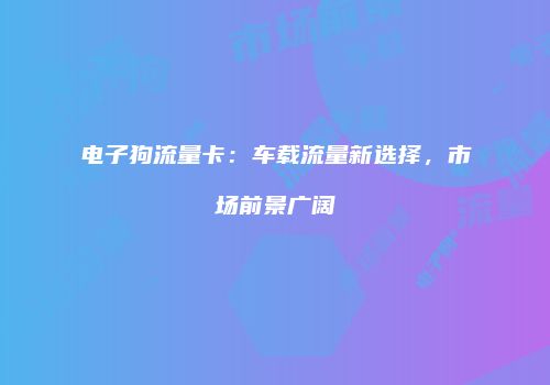 电子狗流量卡：车载流量新选择，市场前景广阔
