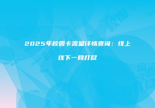 2025年校园卡流量详情查询：线上线下一网打尽