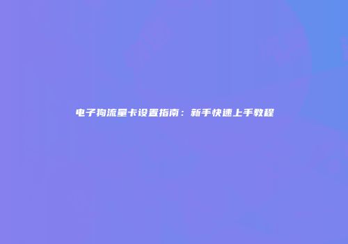电子狗流量卡设置指南:新手快速上手教程