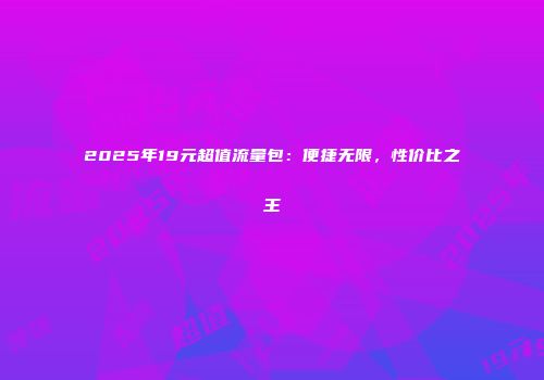 2025年19元超值流量包:便捷无限,性价比之王