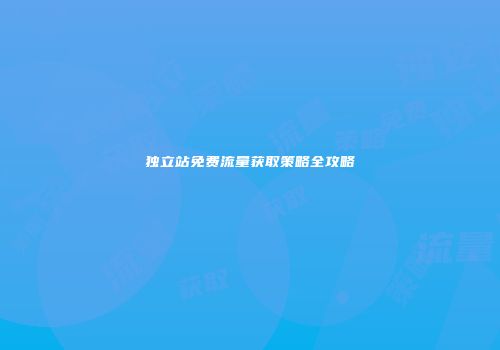 独立站免费流量获取策略全攻略