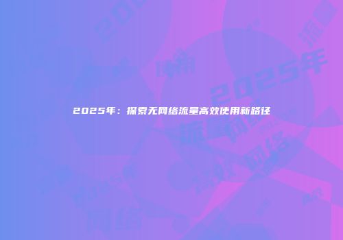 2025年：探索无网络流量高效使用新路径