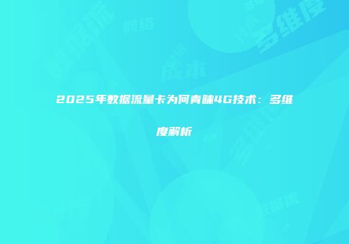 2025年数据流量卡为何青睐4G技术：多维度解析