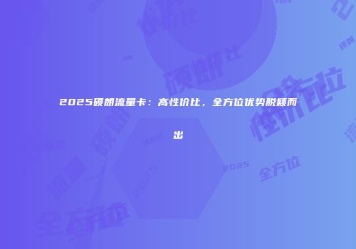 2025硕朗流量卡:高性价比,全方位优势脱颖而出