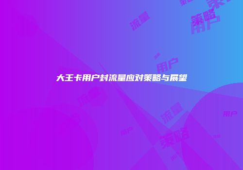 大王卡用户封流量应对策略与展望