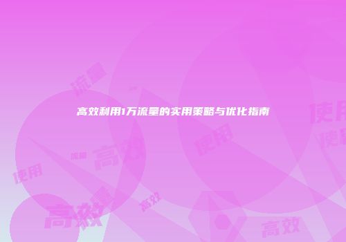 高效利用1万流量的实用策略与优化指南