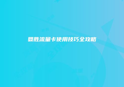 鼎胜流量卡使用技巧全攻略