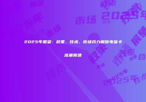 2025年展望:政策、技术、市场合力解除电信卡流量限速
