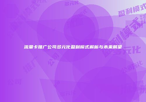 流量卡推广公司多元化盈利模式解析与未来展望
