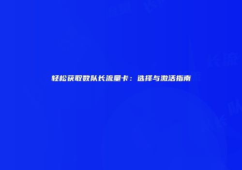 轻松获取数队长流量卡:选择与激活指南