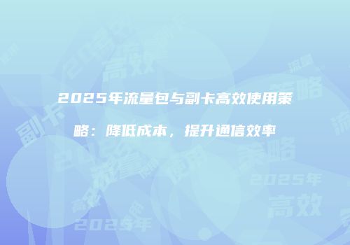 2025年流量包与副卡高效使用策略：降低成本，提升通信效率