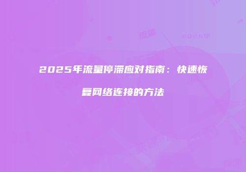 2025年流量停滞应对指南：快速恢复网络连接的方法