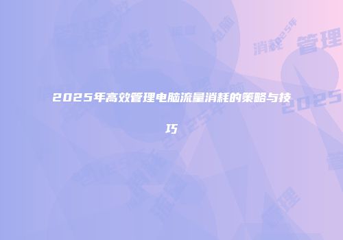 2025年高效管理电脑流量消耗的策略与技巧