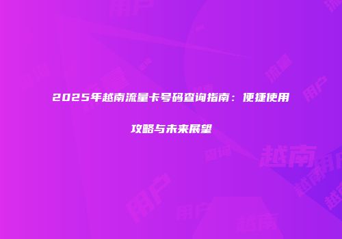 2025年越南流量卡号码查询指南:便捷使用攻略与未来展望