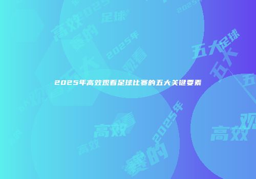 2025年高效观看足球比赛的五大关键要素