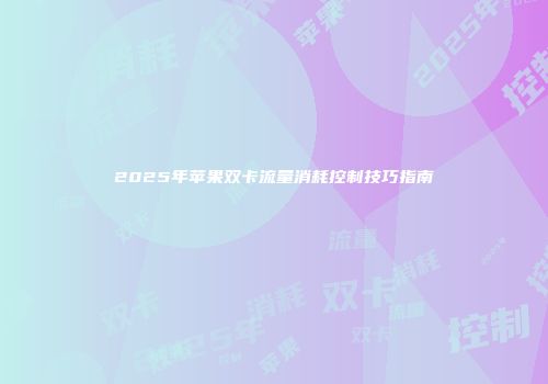 2025年苹果双卡流量消耗控制技巧指南