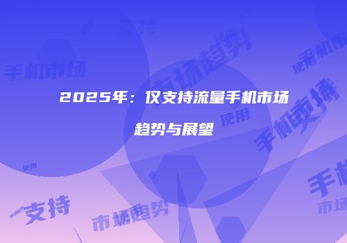 2025年：仅支持流量手机市场趋势与展望