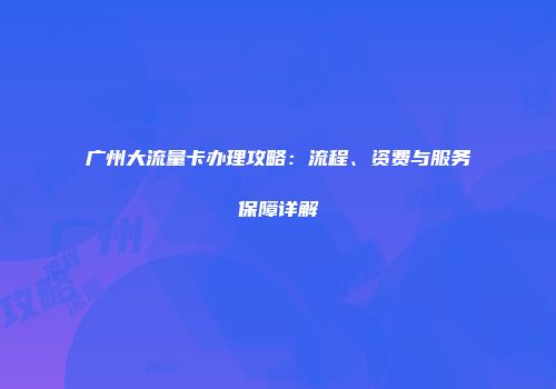 广州大流量卡办理攻略：流程、资费与服务保障详解