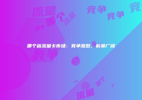 哪个省流量卡市场：竞争激烈，前景广阔