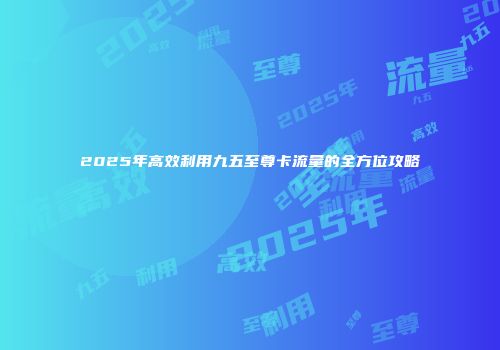 2025年高效利用九五至尊卡流量的全方位攻略