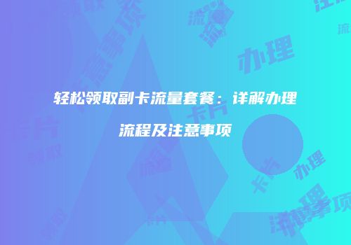 轻松领取副卡流量套餐:详解办理流程及注意事项