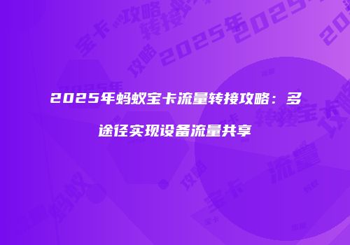 2025年蚂蚁宝卡流量转接攻略：多途径实现设备流量共享