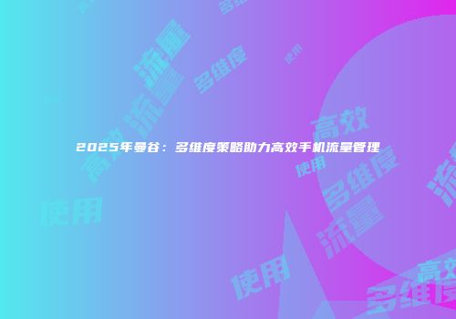 2025年曼谷：多维度策略助力高效手机流量管理