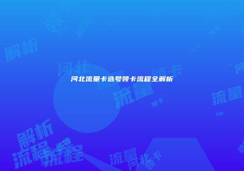 河北流量卡选号领卡流程全解析