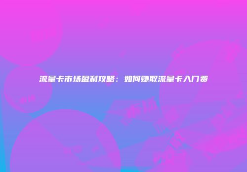 流量卡市场盈利攻略:如何赚取流量卡入门费