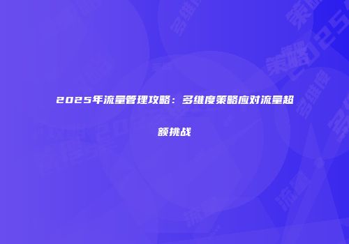 2025年流量管理攻略：多维度策略应对流量超额挑战