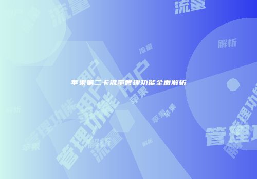 苹果第二卡流量管理功能全面解析
