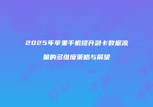 2025年苹果手机提升副卡数据流量的多维度策略与展望