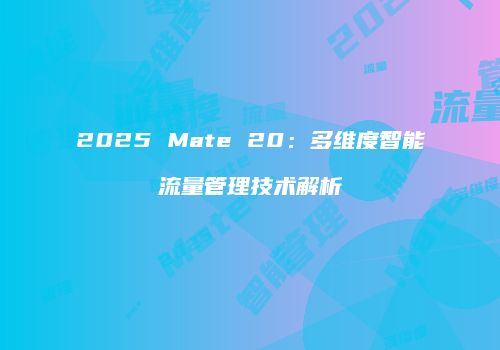 2025 Mate 20:多维度智能流量管理技术解析
