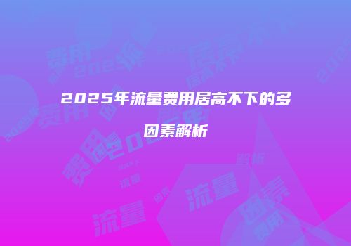 2025年流量费用居高不下的多因素解析