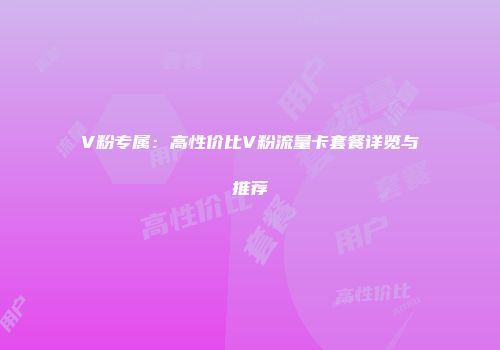 V粉专属:高性价比V粉流量卡套餐详览与推荐